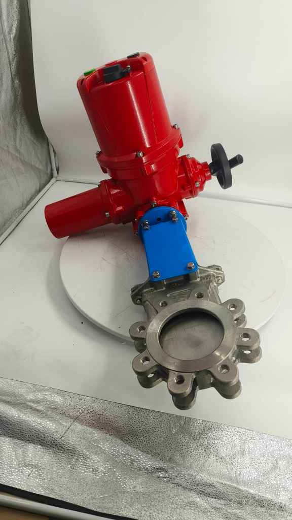 Stainless steel Electric gate valve-3.jpg