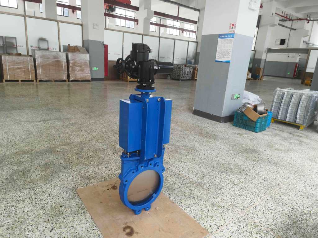 Stainless steel Electric flat gate valve-3.jpg